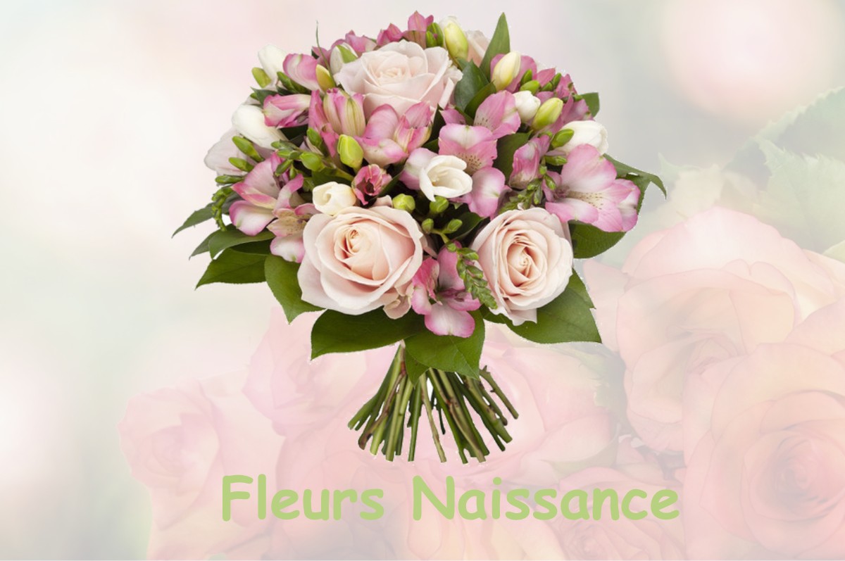 fleurs naissance PEYREHORADE