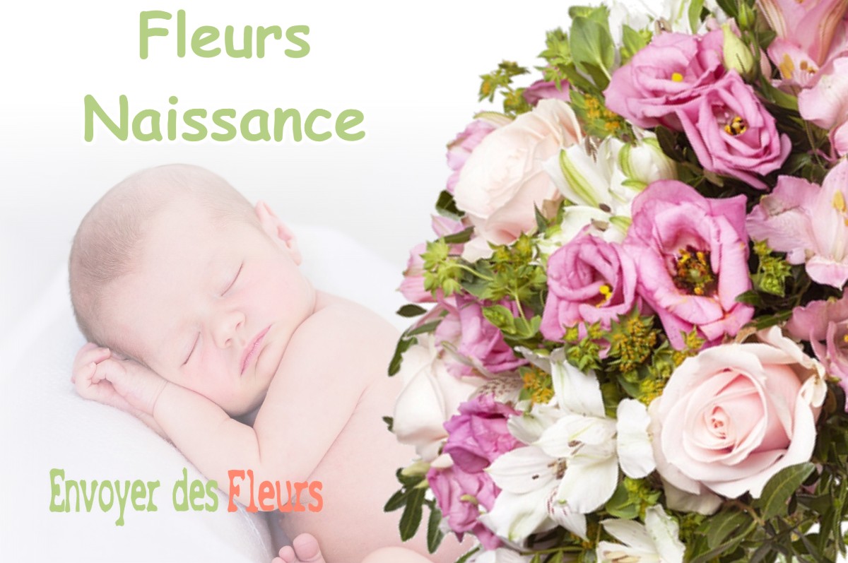 lIVRAISON FLEURS NAISSANCE à PEYREHORADE